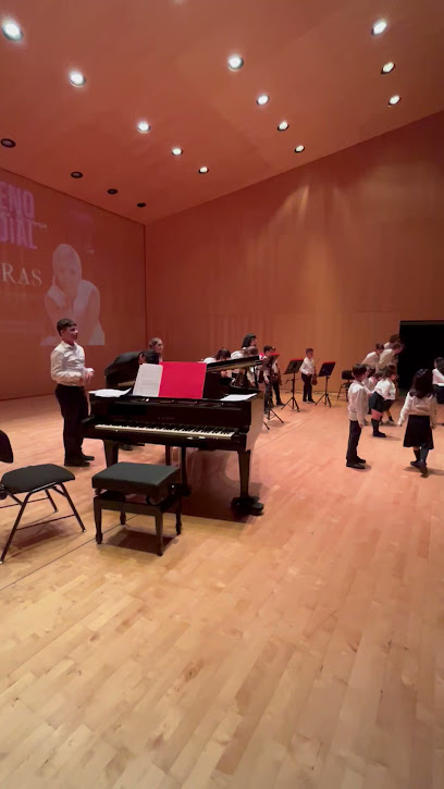 ESCUELA DE MÚSICA (VIOLIN) HELENA COLINA