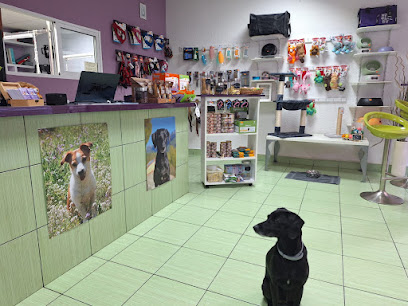 Coquetos Peluquería Canina