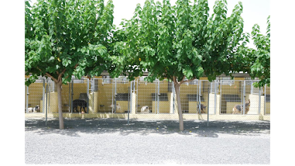 MASCOTA CENTER