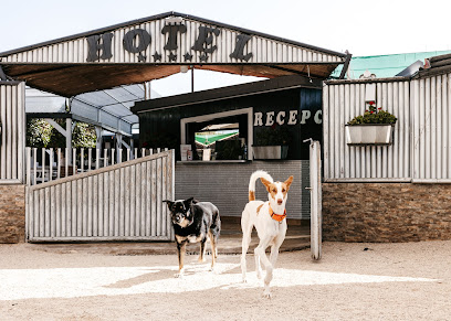 KanyKat - Hotel de superlujo para perros y gatos - Residencia Canina 5 estrellas